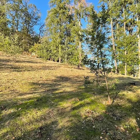 Apartment Le Logis D'eve *